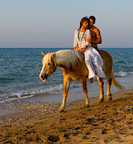 Discover useful info for Arion Stables Horse Riding - Analipsi Travel Guide Discover useful info for Arion Stables - Analipsi Travel Guide